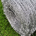 Hot sale Galvanized barbed wire