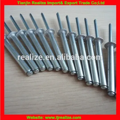 Good factory China fasteners beige color blind rivets