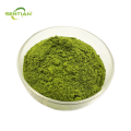 High-quality food-grade broccoli powder