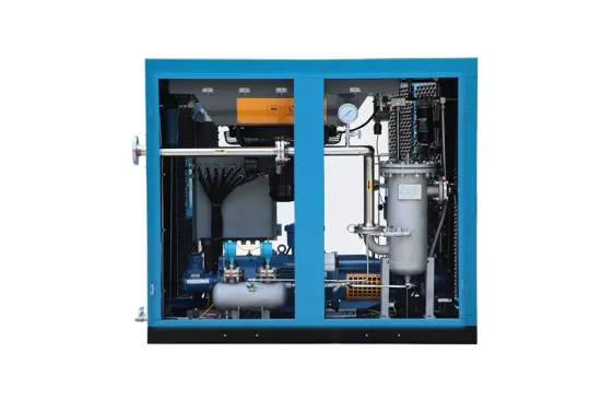 Explosion Screw Gas Compressor VSD