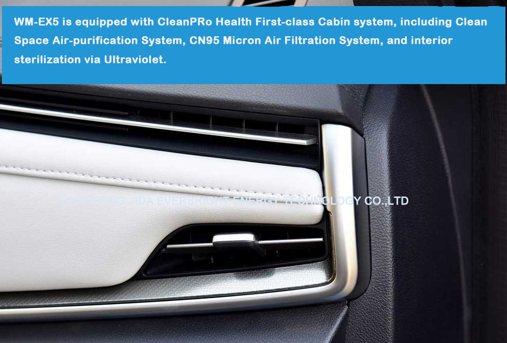 Electric Car Made In China Electric For Adults Carros Electrico Adulto Cars For Sale  Promotion