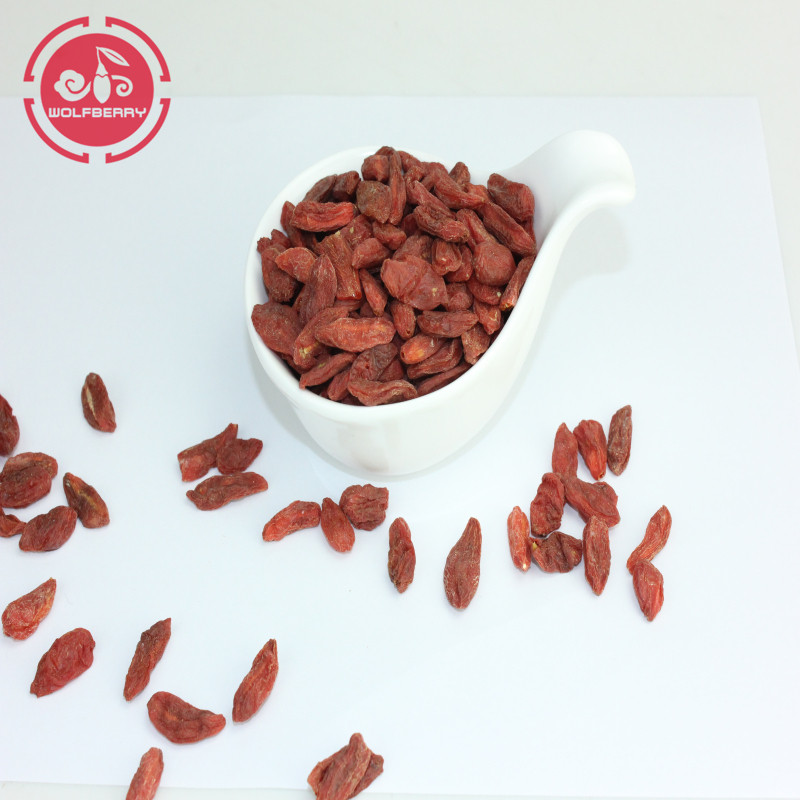 Vitamines Low Fat Nutrition BIO goji berry