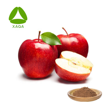 Apple Extract Apple Peel Extract Polyphenols 98%