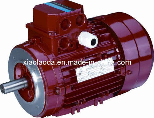 Double Speed Three Phase Electric Motor (YD Series)