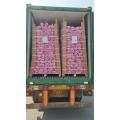 1 * 40 RH CONTAINER GARLIC