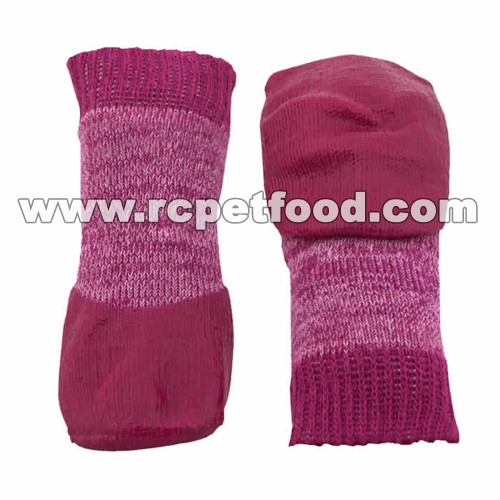 dog socks for winter