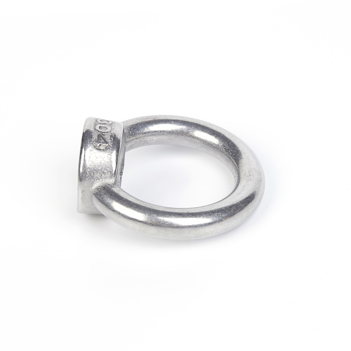 Stainless Steel Ring Screws And Nuts Bundle