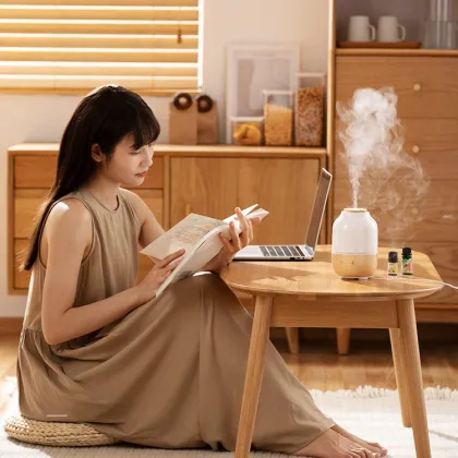 Asiamist Fogger Unique Design Ultrasonic Essential Oil Aroma Diffuser