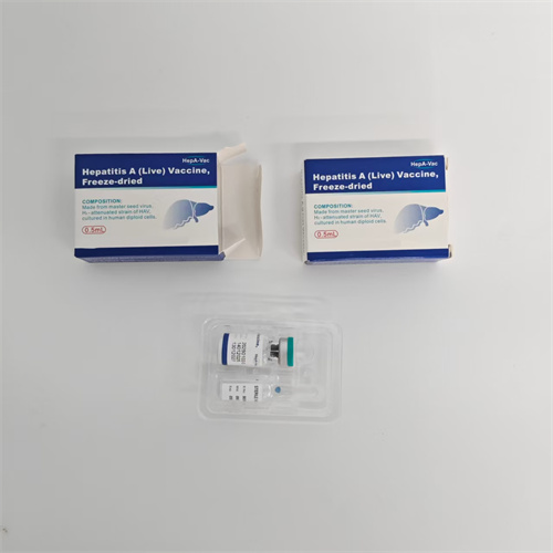 hepatitis a