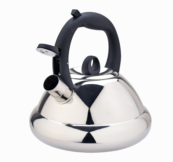 Stainless Steel Teakettle