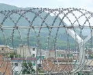 Razor Wire