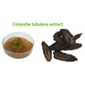 Natural Cistanche Deserticola Extract Powder Price