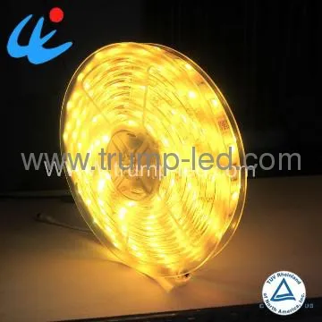 High quality 60leds/m 12v led strip 5050 5m