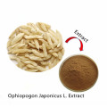 Natural Ophiopogon japonicus extract