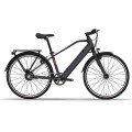 Brand Best Electric Assist Bike