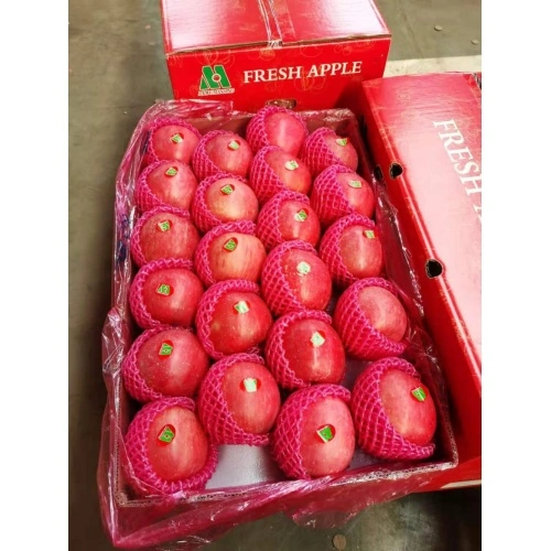 2020 New Fresh Fruits Red FUJI Apples - China Apple, FUJI Apple