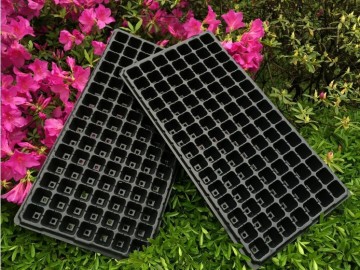 105 Cell plastic PS nursery pots and containers wholesale plant nursery seeding tray