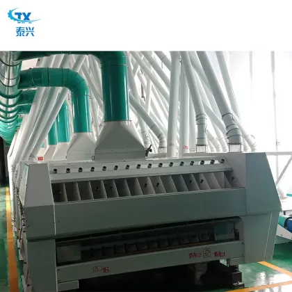 TAIXING Couscous Production Line
