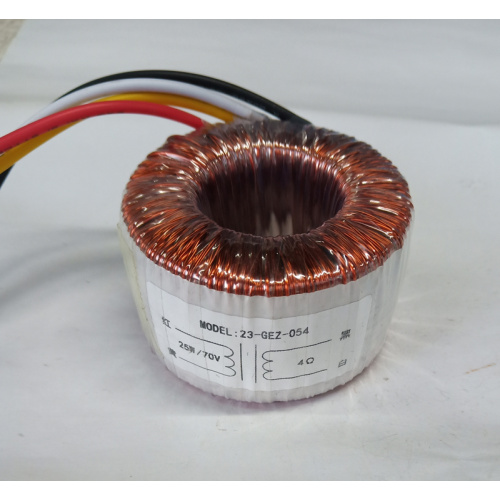 Iron Core Toroidal Transformer For Audio Amplifier