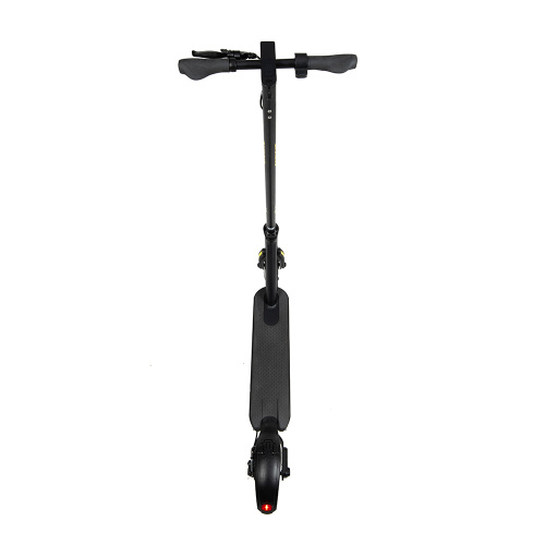 Pro 8.5 Inch 250w Two Wheel Electric Scooters