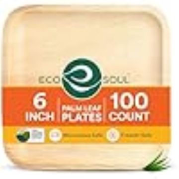 100 - count 6 - inch Square Palm Leaf Plates, Disposable, Eco - Friendly, Biodegradable Bamboo Plates for Party, Cateri