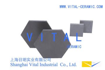 Boron Carbide Ceramic