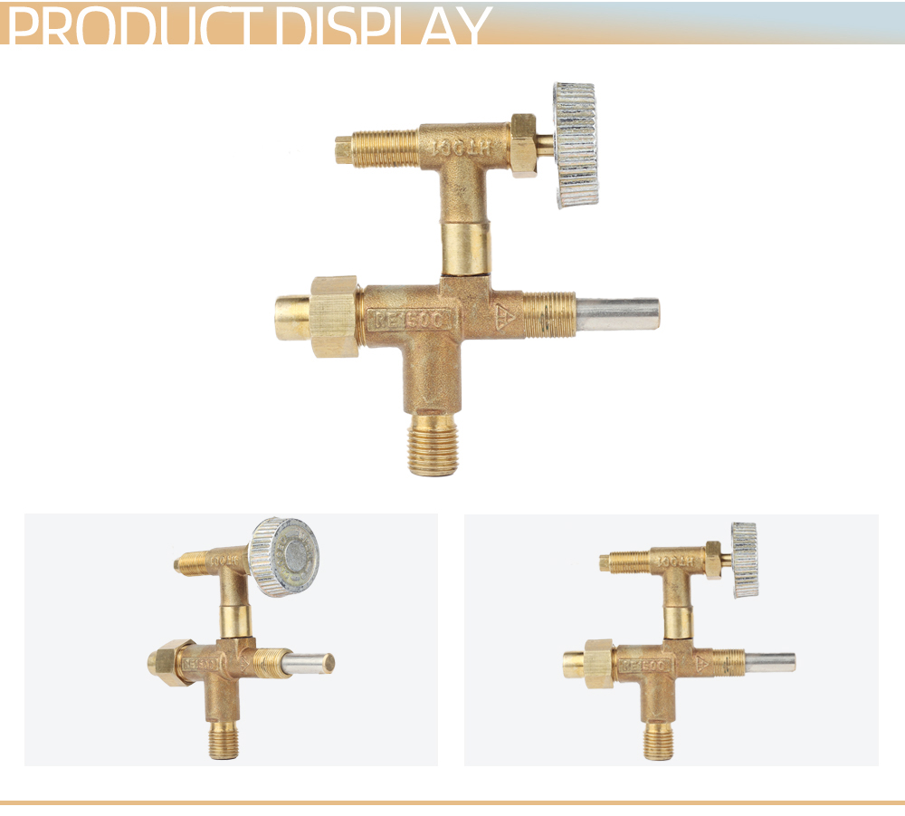 Flame Failure Safety Valve with Needle Valve X1