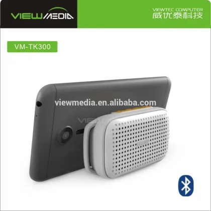 TK300 smart band 2016 top tech audio speaker bluetooth