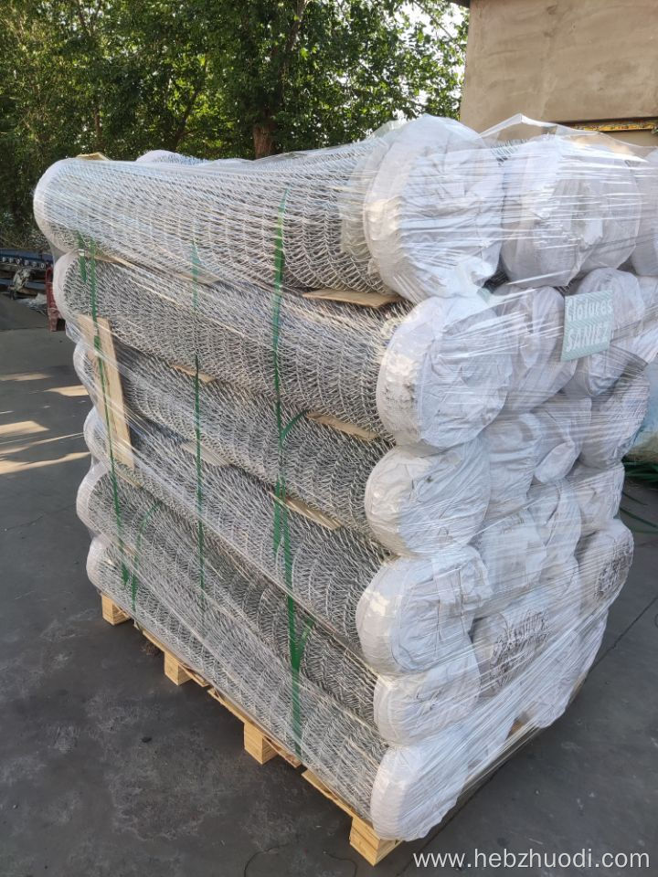 Hot Dipped Galvanized Chain Link Fence For Sale