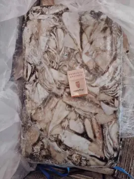 Frozen Arrow Squid ( Nototodarus Sloanii) 0-100g