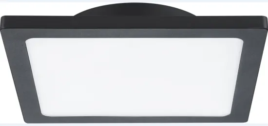 Outdoor Wall/Ceiling Microwave sensor IP65 lamp