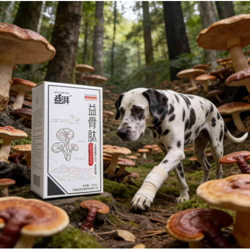 Ενισχυτικό οστών κατοικίδιων ζώων