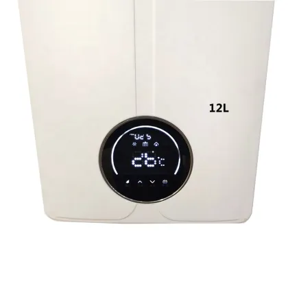 Instant Constant Temperature Natural Gas Hot Water Heater