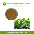 Venta caliente Camelia Sinensis Flower Powder 10: 1