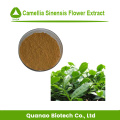 Heiße Verkäufe Camellia SINENSIS Flower Extract Pulver 10: 1