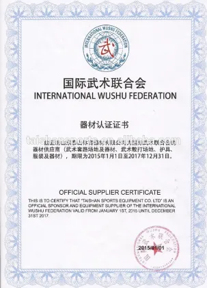 Professional Wushu taolu/kungfu field