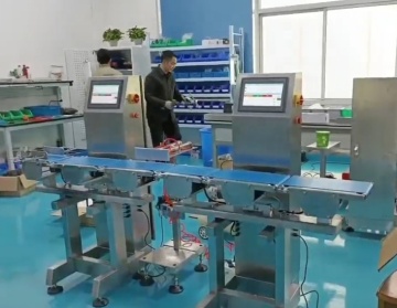 High Accuracy Automatic weight grading machine Industry Checkweigher