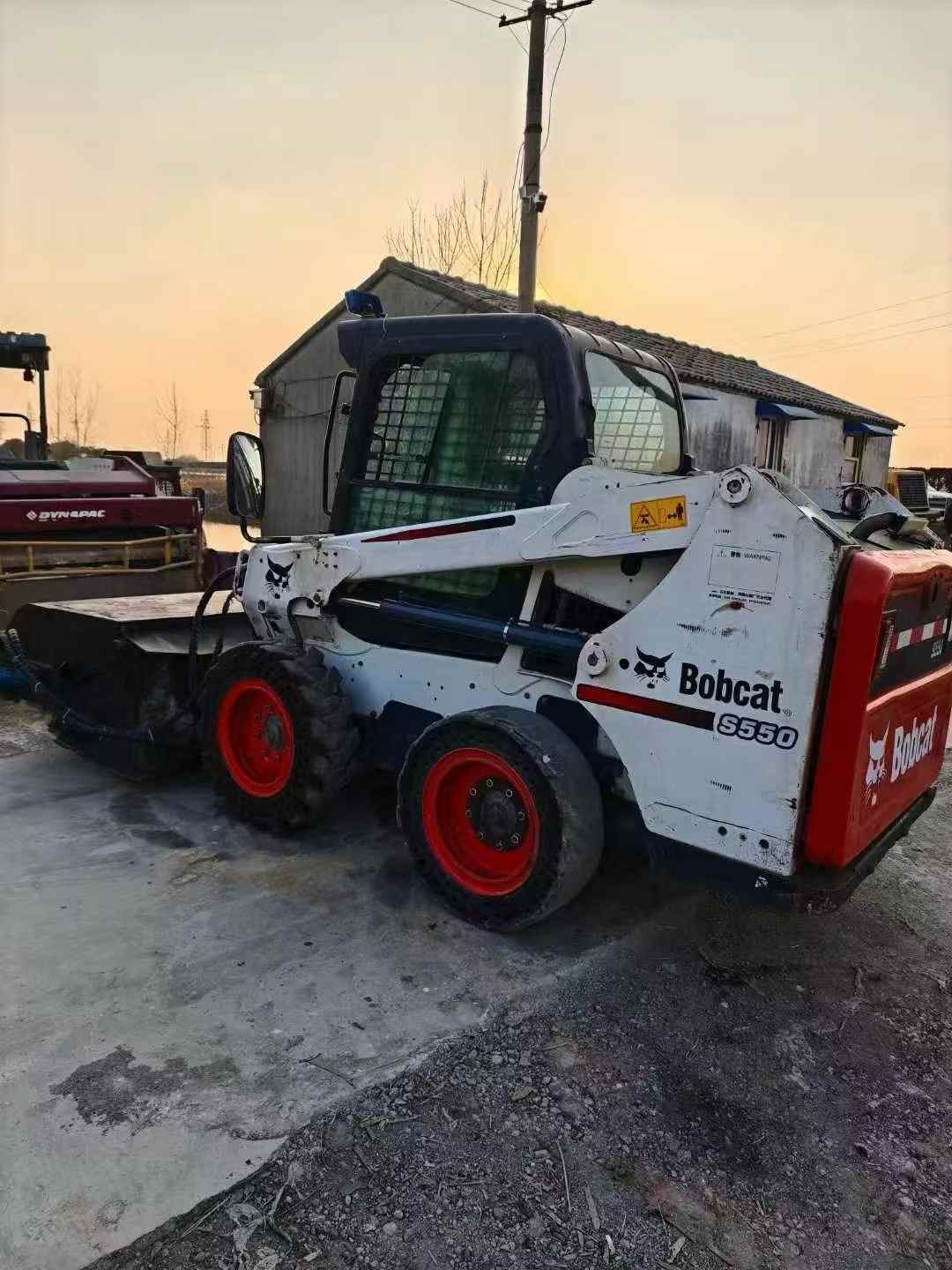 bobcat