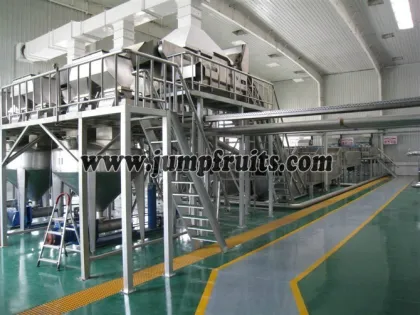 Banana Processing Line For Banana Chips