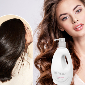 Odm Customized High-End Wholesale Label Natural Plant Extract Herbal Hair Anti-dandruff Shampoo Hair Products Shampoo