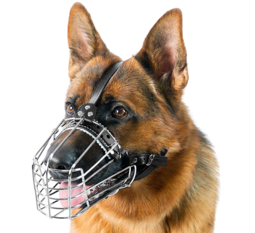Reinforced Cage-Muzzle for Large Dogs