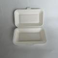 Sugarcane Bagasse Large Food Box 800ml