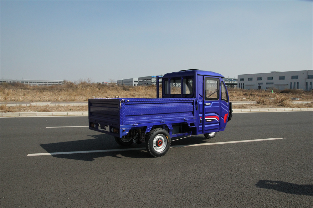 Cargo 3 Wheels Electric Cargo Tricycle For Elderly