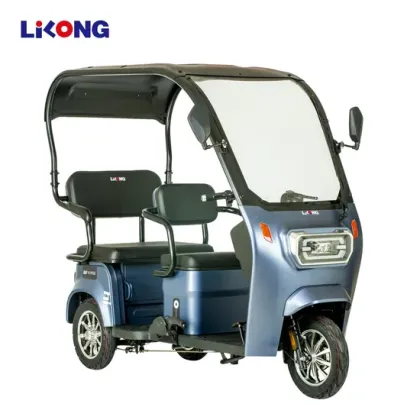 Lilong City Electric Bike E-Bike E Battery