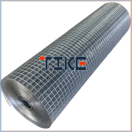 High Quality Hot Dip Galvanized Bird Cage Welded Wire Mesh Roll