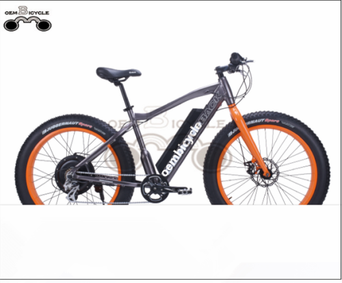 EMPRESA EBIKE AL POR MAYOR VENTA CALIENTE 500W FAT NEUMÁTICO BICICLETA ELÉCTRICA