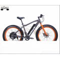 EBIKE COMPANY WHOLESALE HOT SALE 500W FAT TIRE ELECTRIC BIKE