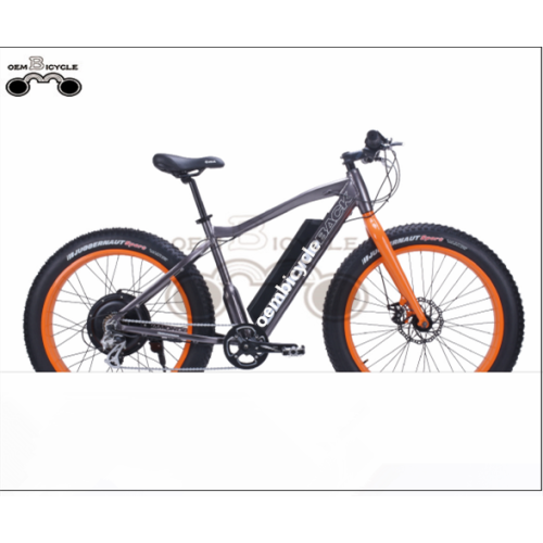 EBIKE COMPANY VENDA A GROSSO QUENTE BICICLETA ELÉTRICA DE PNEUS FAT 500W