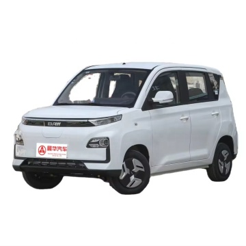 Baic Heiruミニチュアピュアエレクトリック新しいエネルギー車：ピンクの豪華な5ドア4席ハッチバック