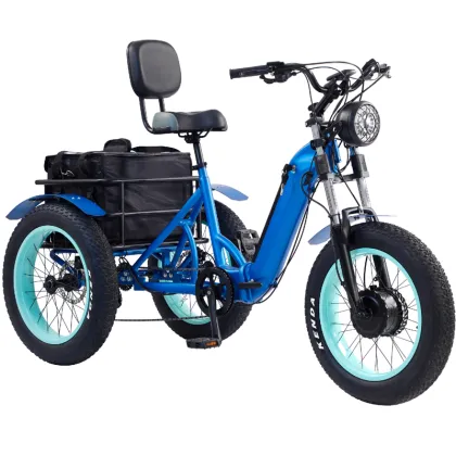 500W Electric Tricycle - OEM Aluminum Frame Fat Tire Pedicab for Family Use